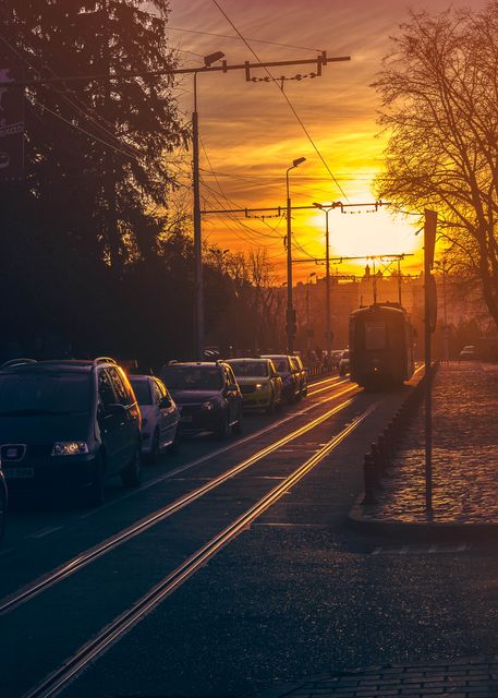 City street during sunset with cars and a tram lined up. Scene features traffic lights, silhouettes of trees, and buildings in the distance. Useful for backgrounds, urban transportation themes, or representing evening city life.
