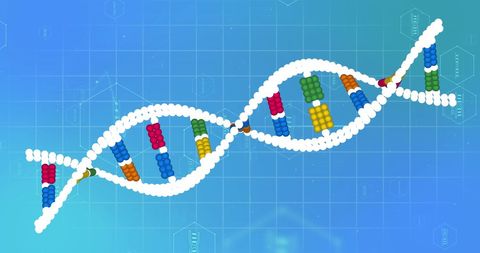 DNA Strand Helix with Digital Interface Background