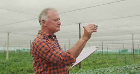 Senior Agricultural Expert Inspecting Greenhouse Crops - Download Free Stock Images Pikwizard.com