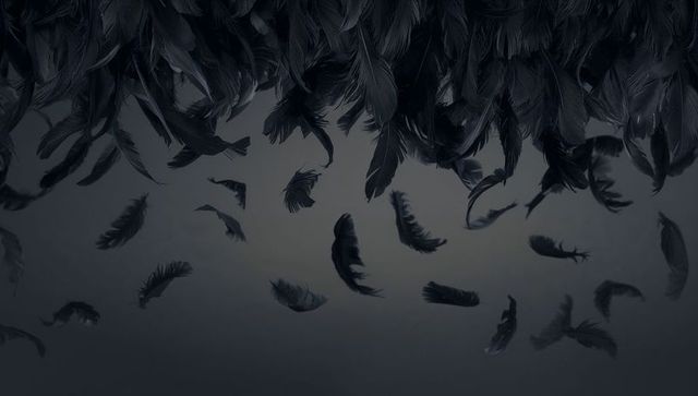 Silent descent of floating black feathers in atmospheric darkness