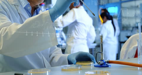 Diverse Scientists Working in Laboratory with Digital Equations Overlay
