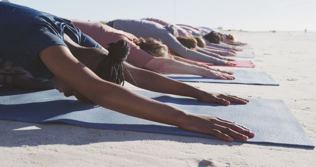 Group Practicing Yoga on Beach - Download Free Stock Images Pikwizard.com