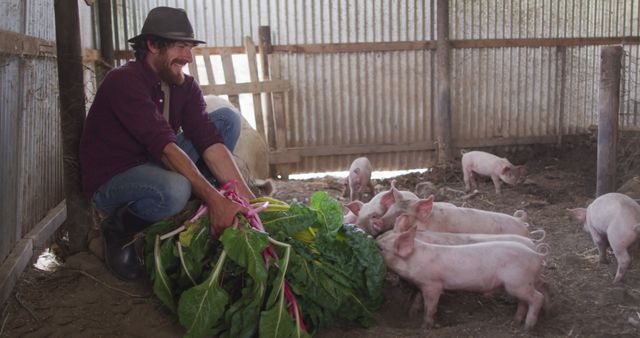 Happy caucasian man working on farm, feeding pigs. homesteading, healthy lifestyle on organic farm in the countryside.