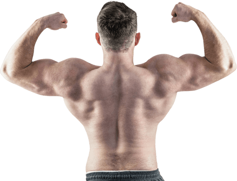 transparent muscular bodybuilder flexing back and arms - Download Free Stock Videos Pikwizard.com