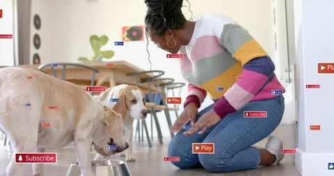 Kneeling woman feeding two dogs in bright home interior wearing colorful sweater and jeans