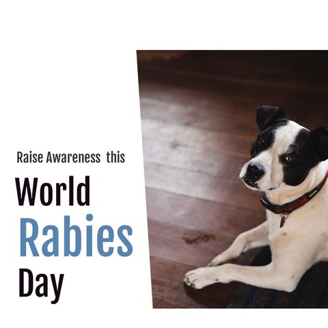 Dog Supporting World Rabies Day Awareness Campaign - Download Free Stock Templates Pikwizard.com