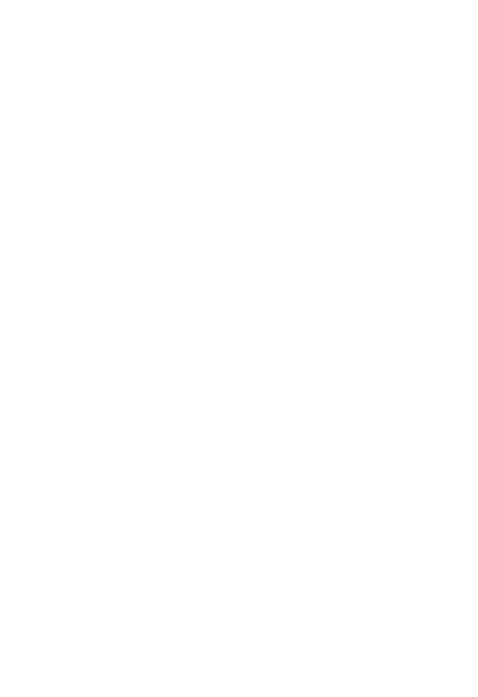 Transparent Digital Silhouette of Female Sports Fan Holding Scarf Over Head - Download Free Stock Videos Pikwizard.com