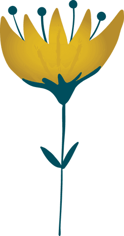 Minimalistic Yellow Flower Illustration on Transparent Background