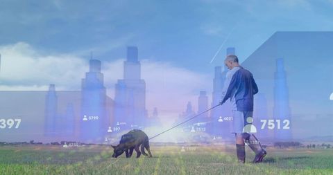 Senior man walking dog across meadow with augmented reality skyline and data overlays