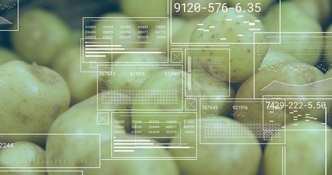 Scanning potatoes with machine vision hud for automated quality inspection and analytics