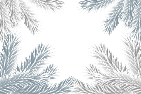 frosty fir tree branches creating transparent frame - Download Free Stock Videos Pikwizard.com