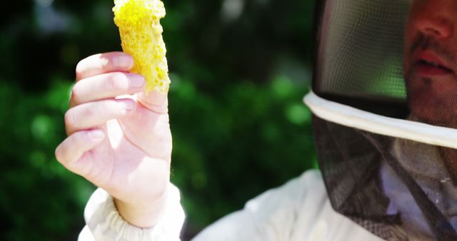 Beekeeper in protective suit inspecting honeycomb in lush garden. Useful for articles on beekeeping, sustainable farming, nature conservation, or honey production. Ideal for blogs, educational materials, and promotional content related to honey farms or environmental protection.