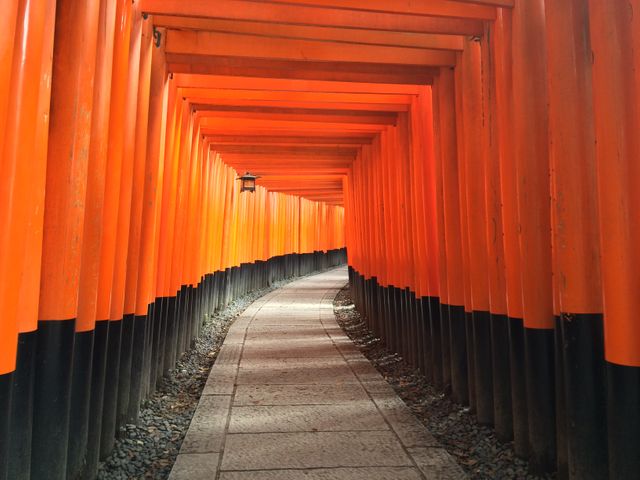 Pathway flanked by numerous red torii gates at Fushimi Inari Shrine in Kyoto. Suitable for travel blogs, cultural articles, spiritual stories, and architectural studies.