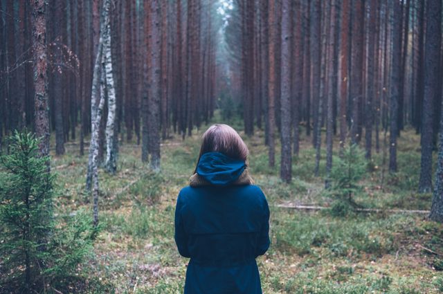 Person standing in a dense forest, surrounded by tall trees and greenery, wearing a blue jacket. Ideal for travel blogs, adventure websites, nature and hiking promotions, or articles about solitude and nature exploration.