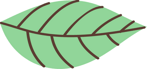 Minimalist Green Flat-design Leaf with Transparent Background - Download Free Stock Videos Pikwizard.com