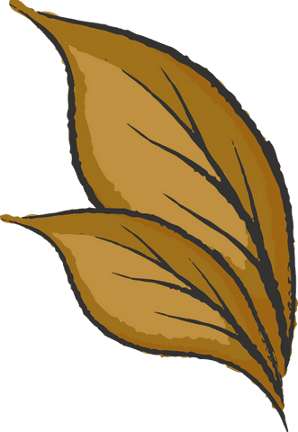 Golden Leaf Pair with Veins on Transparent Background