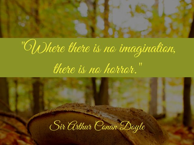 In an autumn forest, sunlight filters gently through foliage, illuminating a motivational quote by Sir Arthur Conan Doyle. Ideal for use in inspiring social media posts, educational materials, and literary content promoting imagination and creativity.
