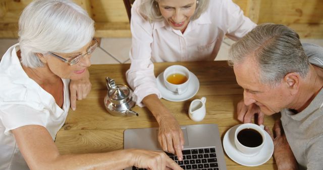 Senior Friends Exploring Laptop Together at Cozy Coffee Shop - Download Free Stock Images Pikwizard.com