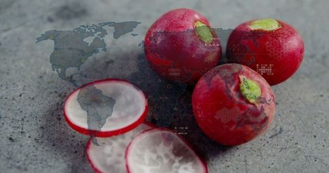 Red Radishes with Digital World Map Overlay Illustrating Tech and Sustainability