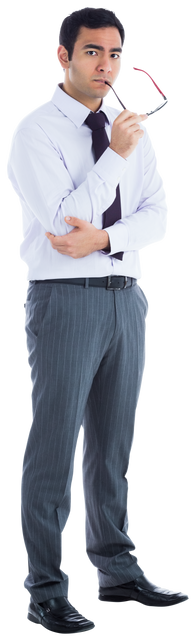 Thoughtful Businessman Holding Eyeglasses Standing Isolated Transparent - Download Free Stock Videos Pikwizard.com