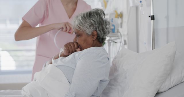 Elderly Woman Receiving Medical Care in Hospital Bed - Download Free Stock Images Pikwizard.com