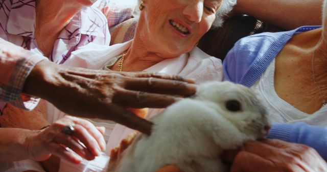 A senior Caucasian woman is smiling joyfully as she holds a fluffy white rabbit, surrounded by people in a warm, intimate setting. This moment captures the happiness that pet therapy can bring to the elderly, enhancing their quality of life through animal companionship.
