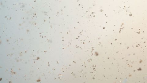 Floating Dust Specks and Micro Droplets Scattering on Soft Pastel Gradient Background