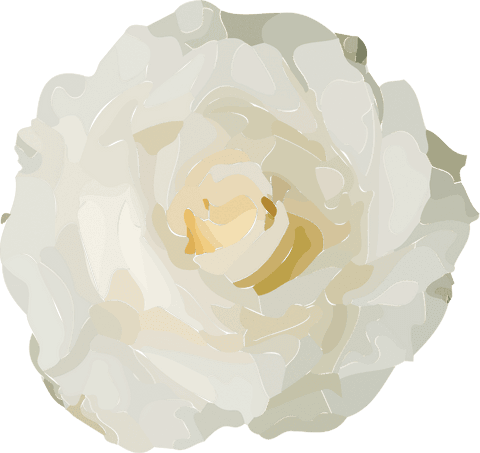 Transparent beige rose petal illustration with copy space