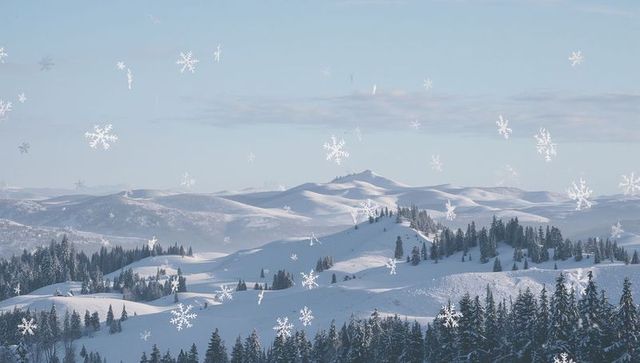 Snow-draped alpine ridges, rolling snow hills, conifer forest and soft falling snowflakes