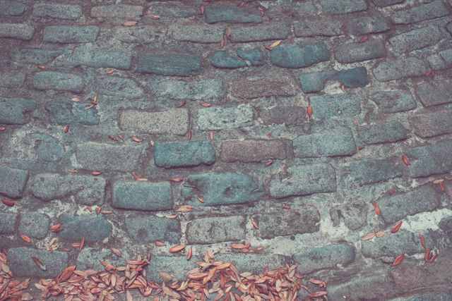 This image showcases a cobblestone path with scattered autumn leaves, creating a textured backdrop. Ideal for backgrounds, design projects needing a rustic or historic touch, and season-themed decor, especially for fall.