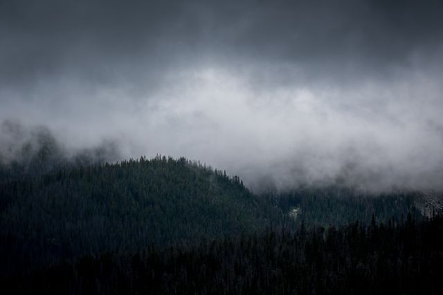 Dense clouds cast shadows over a dark pine forest, evoking mysterious and brooding ambiance. Use in presentations requiring background images for themes of nature, wilderness, or moodiness. Suitable for blogs or articles about weather, travel, or environmental topics, or as illustrative material in novels and creative storytelling about mysterious forests and mountains.