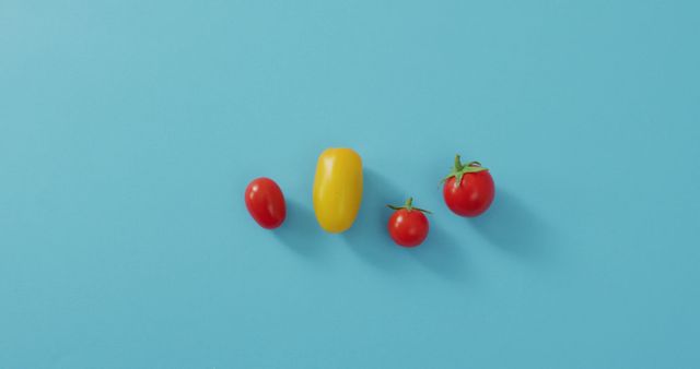 Three Different Types of Tomatoes On Blue Background - Download Free Stock Images Pikwizard.com