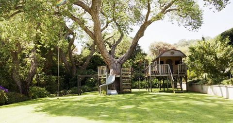 Treehouse with Slide in Lush Green Backyard - Download Free Stock Images Pikwizard.com