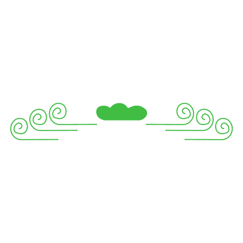 elegant green abstract border on transparent background - Download Free Stock Videos Pikwizard.com