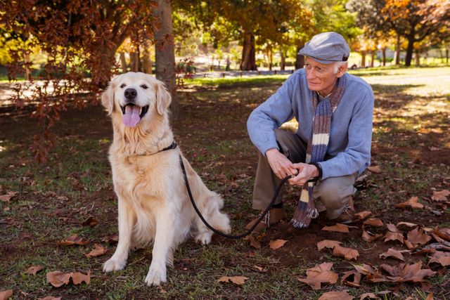 Elderly man spending quality time with his golden retriever in a park during autumn. Ideal for themes related to companionship, senior lifestyle, pet ownership, outdoor activities, and relaxation. Suitable for use in articles, advertisements, and websites focusing on senior well-being, pet care, and nature.