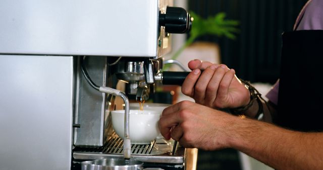 Barista Brewing Fresh Coffee in Professional Espresso Machine - Download Free Stock Images Pikwizard.com