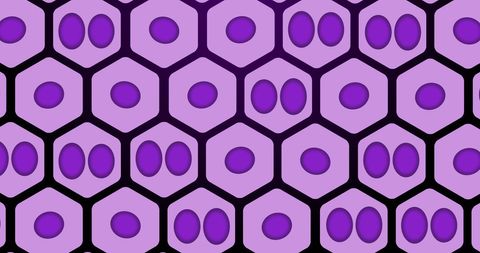 Purple Cells in Hexagon Pattern Symbolizing Biology - Download Free Stock Images Pikwizard.com