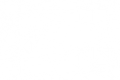 abstract network connections diagram on transparent background - Download Free Stock Videos Pikwizard.com