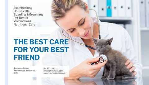 veterinarian examining kitten for pet care campaigns - Download Free Stock Templates Pikwizard.com