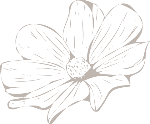 floral illustration of daisy-inspired bloom on transparent background - Download Free Stock Videos Pikwizard.com