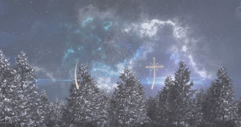 Enchanting Winter Forest with Falling Snow and Aurora Skies