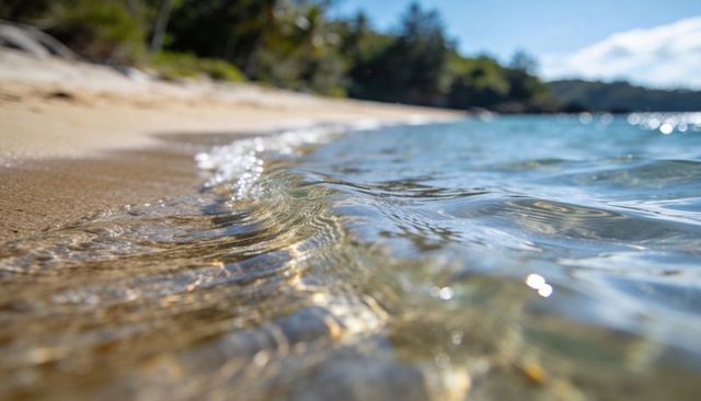 Curling sunlit shallow wave revealing golden sand caustics on sandy cove shoreline