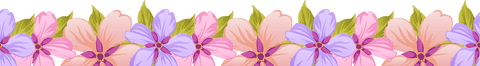 Transparent Floral Border with Pastel Flowers and Leaves - Download Free Stock Videos Pikwizard.com
