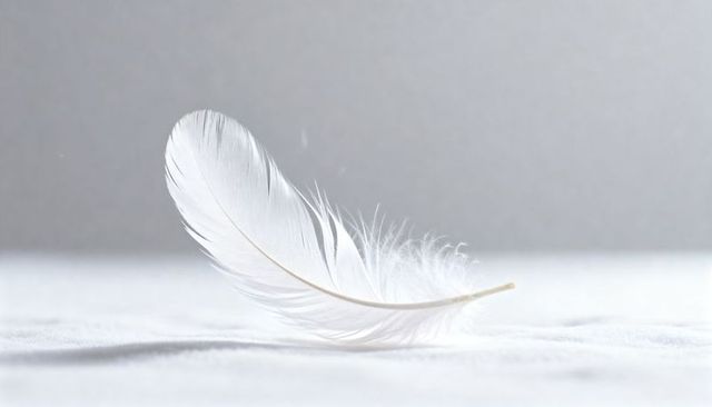 Delicate white feather resting on soft neutral surface minimalist close-up for calm designs