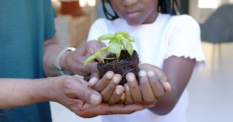African American senior woman guiding child holding green seedling with root ball