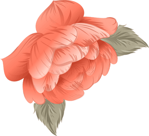 Coral flower with green leaves on transparent background