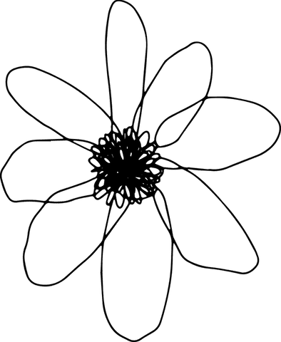 transparent stylized flower with scribbled center minimal line art - Download Free Stock Videos Pikwizard.com