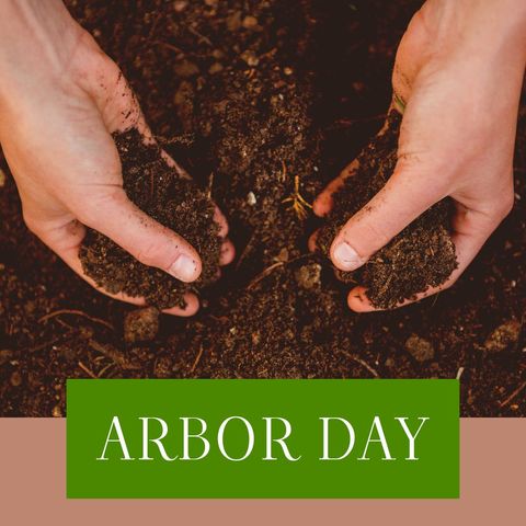 Celebrating Arbor Day with Gardening Hands - Download Free Stock Templates Pikwizard.com