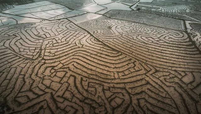 Curving terraced flooded rice paddies from aerial view with reflective water patterns