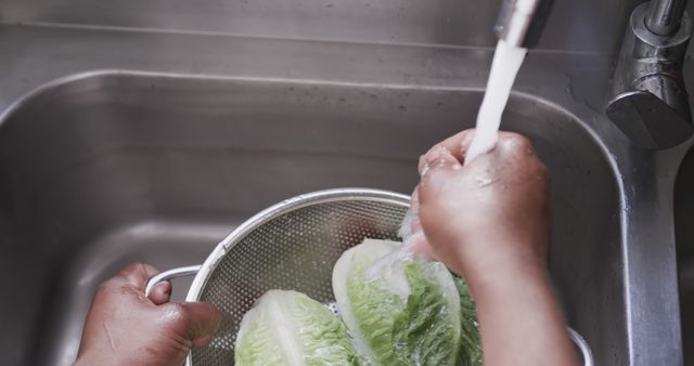 Hands Washing Lettuce in Stainless Steel Sink Under Running Water - Download Free Stock Images Pikwizard.com